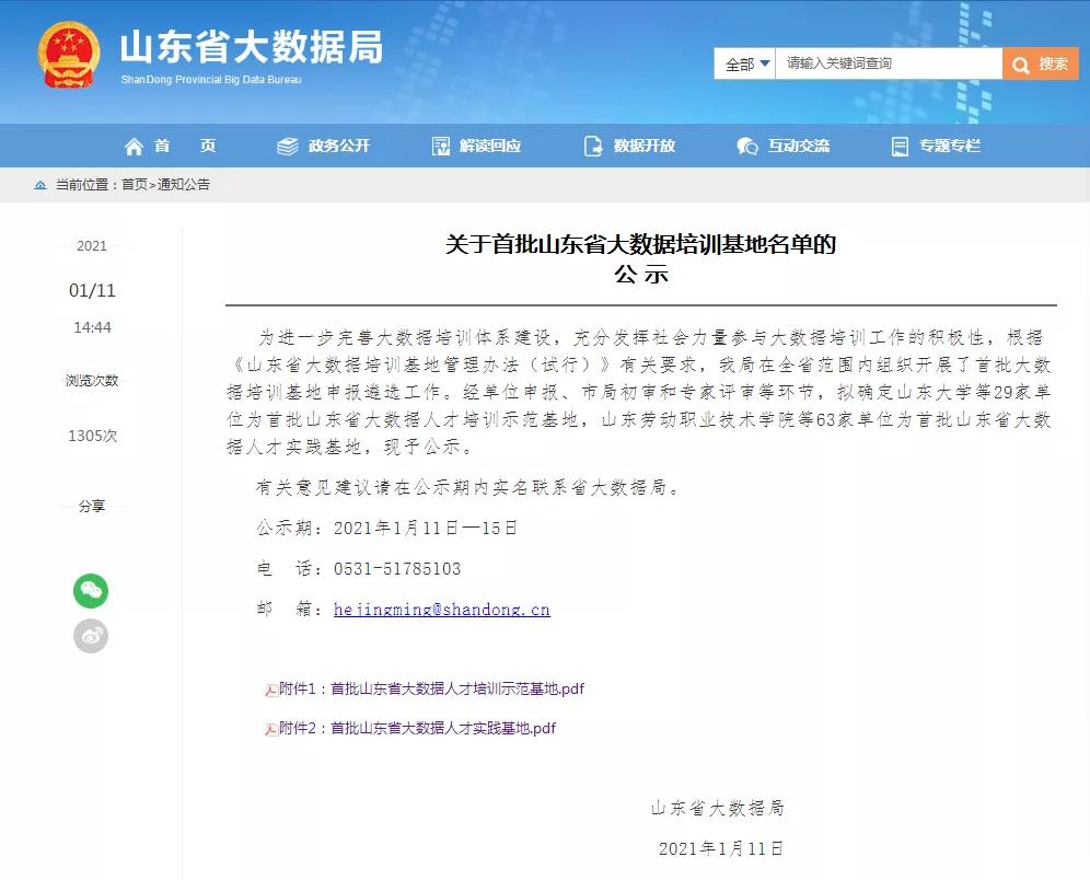 久久99精品国产99久久