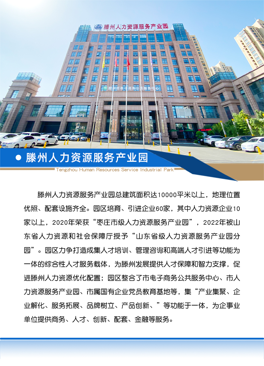 久久99精品国产99久久