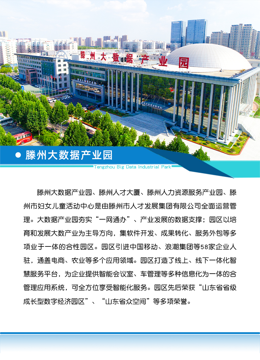 久久99精品国产99久久