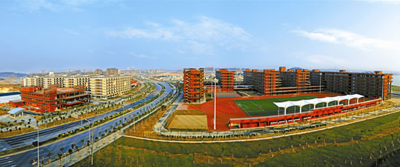 久久99精品国产99久久