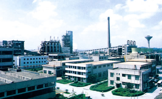 久久99精品国产99久久