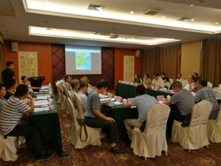 久久99精品国产99久久