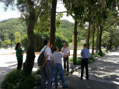 久久99精品国产99久久