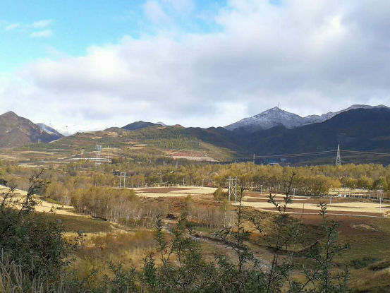 久久99精品国产99久久