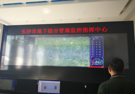 久久99精品国产99久久