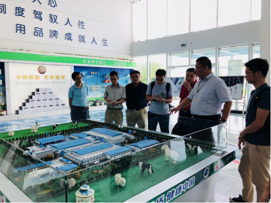 久久99精品国产99久久