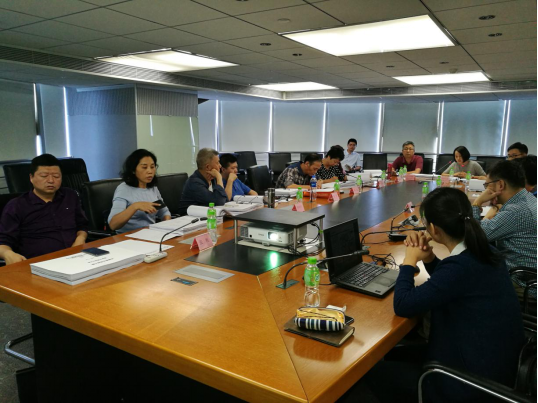 久久99精品国产99久久