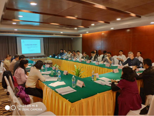 久久99精品国产99久久