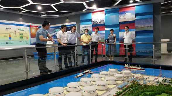 久久99精品国产99久久