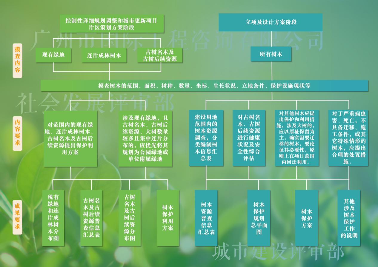 久久99精品国产99久久