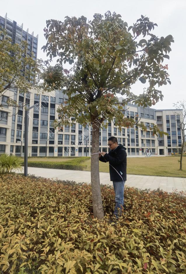 久久99精品国产99久久