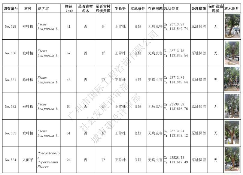 久久99精品国产99久久